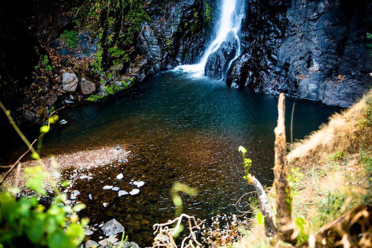 The Postcard Hideaway, Netravali Wildlife Sanctuary, Goa Hotel Vichondrem Bagian luar foto