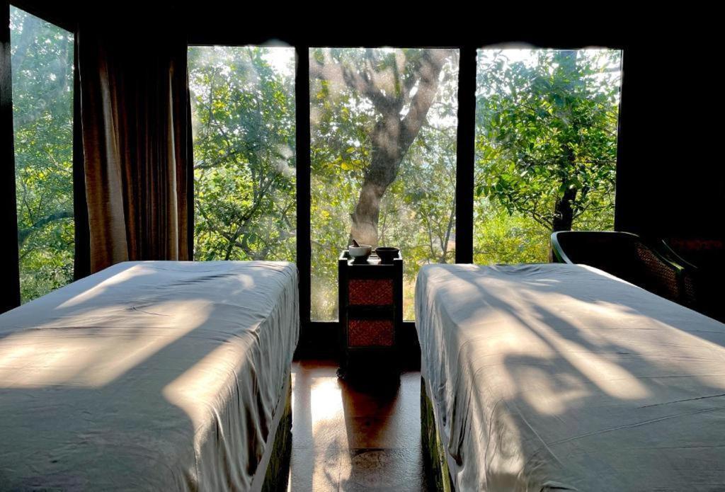 The Postcard Hideaway, Netravali Wildlife Sanctuary, Goa Hotel Vichondrem Bagian luar foto